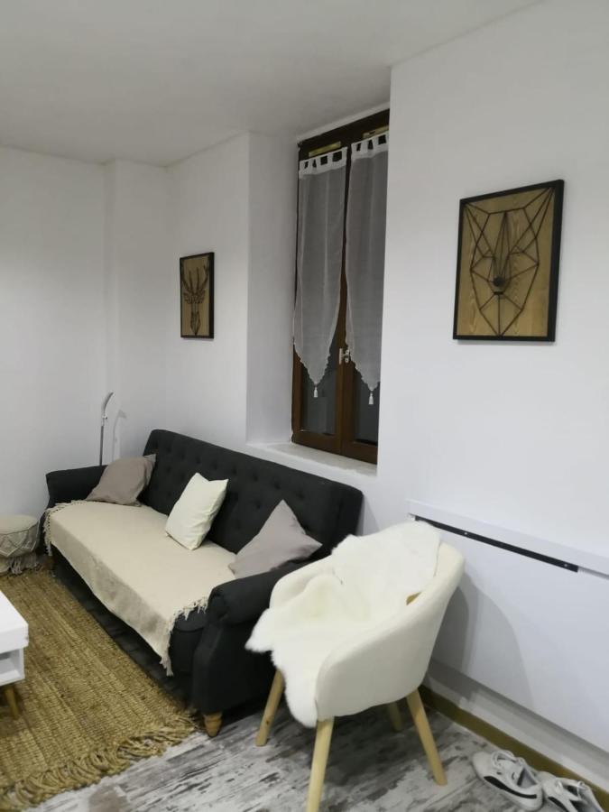 Studio Zen Et Cosy, Neuf En Pleine Ville Saint-Claude Kültér fotó